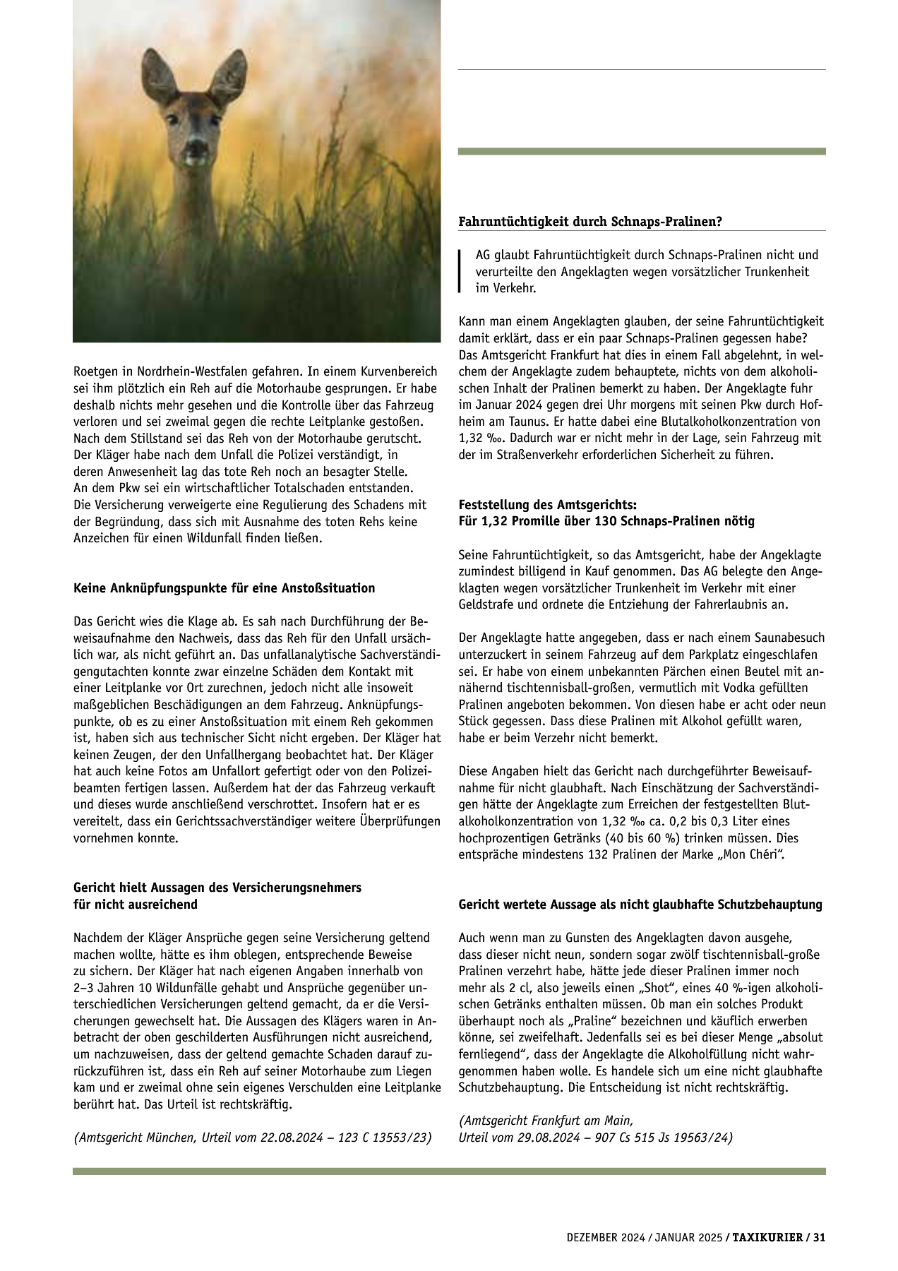 Originalseite 31 der Ausgabe Taxikurier Dezember 2024 und Januar 2025